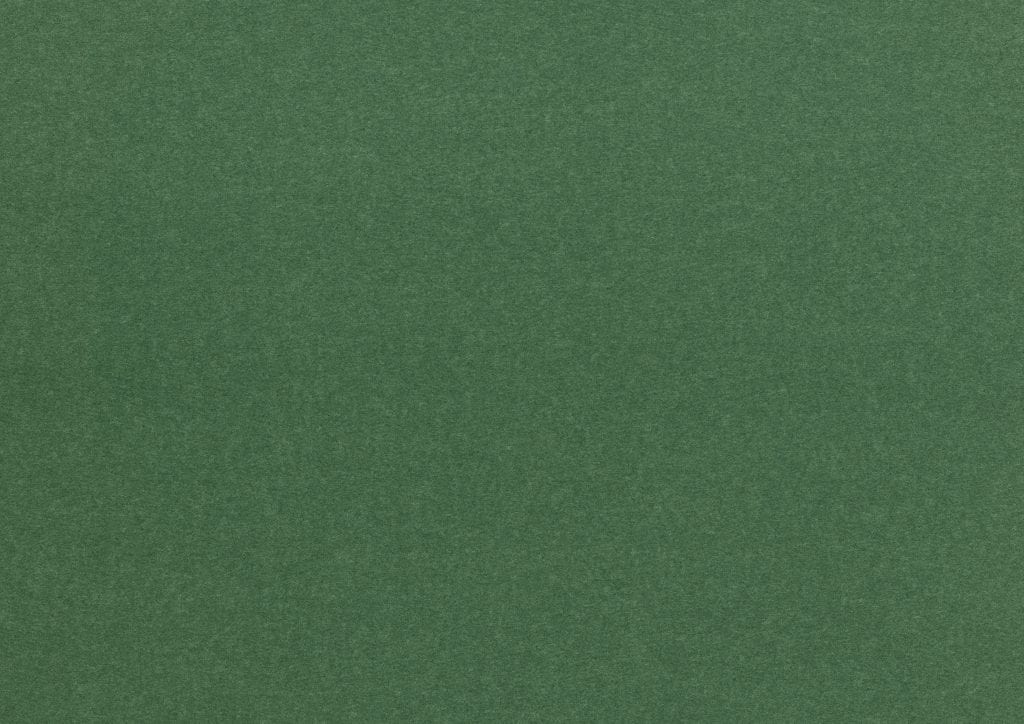 Dark Green Super Wide Poster Paper - Click Image to Close
