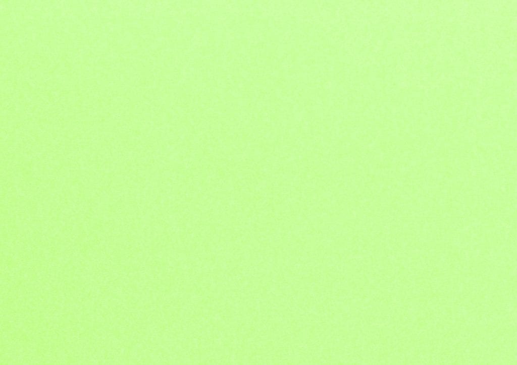 Light Green Poster Paper 10m Roll - Click Image to Close